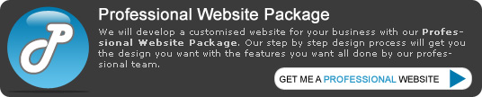 We will develop a customised website for your business with our Professional Website Package. Our step by step design process will get you the design you want with the features you want all done by our professional team.