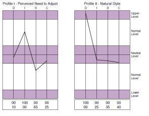 Extended DISc Personal Analysis Report at Talent Tools