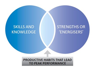 Strengthscope Reports and Training at Talent Tools